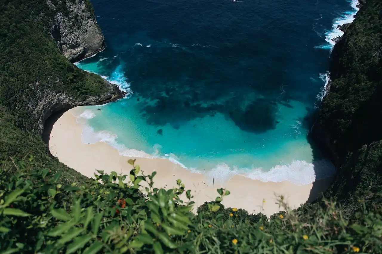Clifftop viewpoint looking down through tropical wildflowers and foliage onto a crescent white sand beach flanked by lush green limestone cliffs and deep blue-green ocean waters on Nusa Penida, Bali