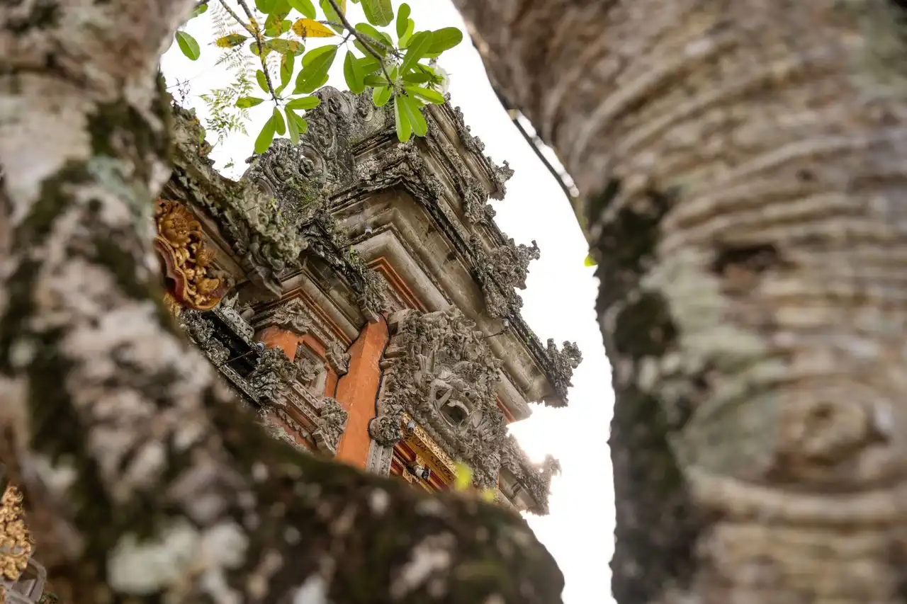 Close-up architectural detail of stone carvings on a traditional shrine at Taman Ayun Temple Mengwi Bali, creatively framed through the textured trunks of trees.